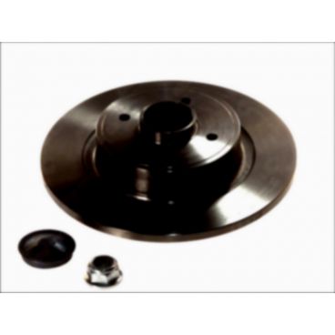 Brake disk with bearing