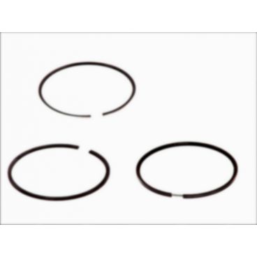 Segmenti piston