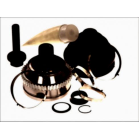 Cruce cardanica Cruce cardanica