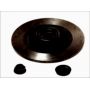 Brake disk with bearing