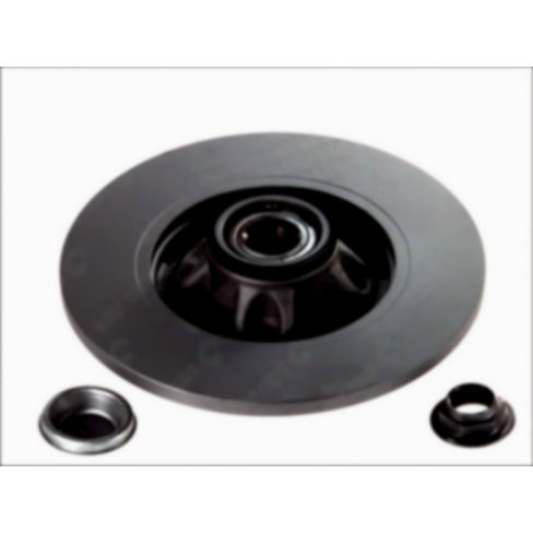 Brake disk with bearing
