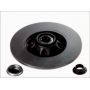 Brake disk with bearing