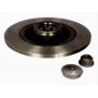 Brake disk with bearing