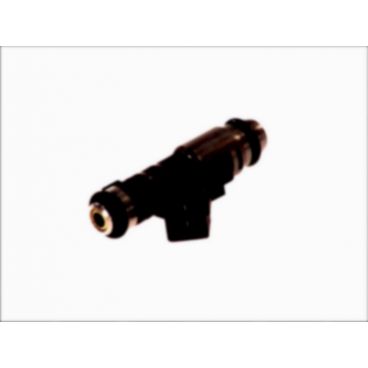 Injector combustibil