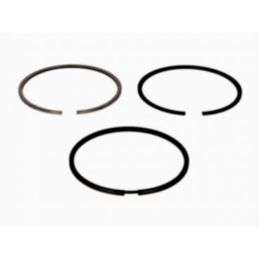Segmenti piston