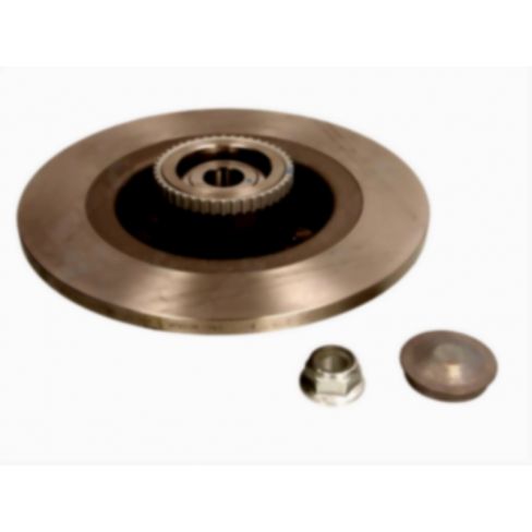 Brake disk with bearing
