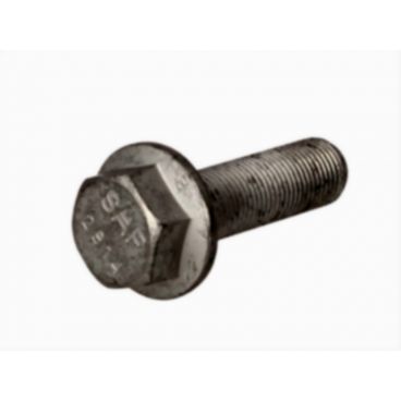 Leaf spring fixing bolt