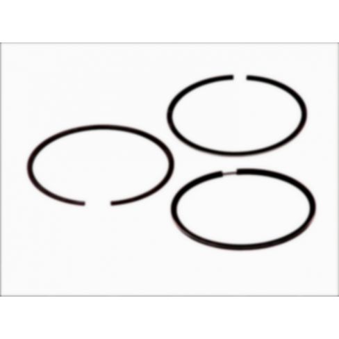 Segmenti piston