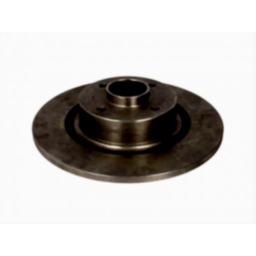 Brake disk with bearing