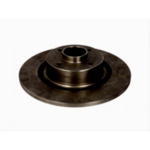 Brake disk with bearing
