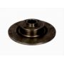 Brake disk with bearing