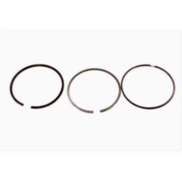 Segmenti piston