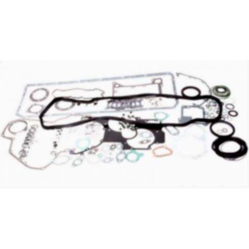 Set complet garnituri, motor