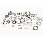 Set complet garnituri, motor