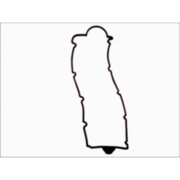 Garnitura capac culbutor