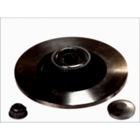 Brake disk with bearing
