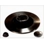 Brake disk with bearing