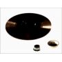 Brake disk with bearing