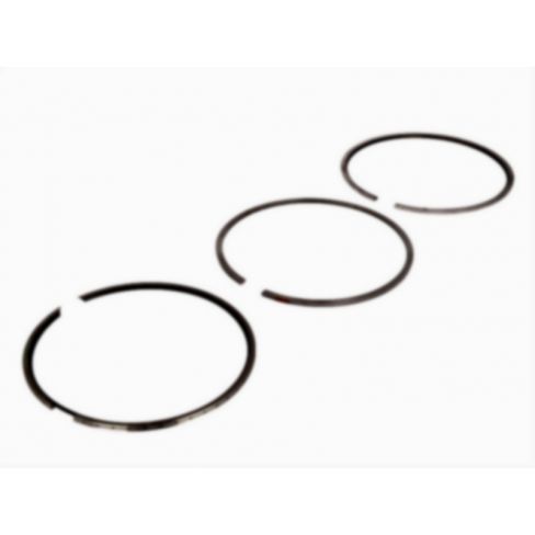 Segmenti piston