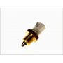 Senzor temperatura aer admisie