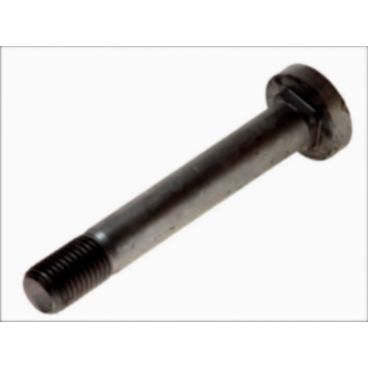 Leaf spring fixing bolt