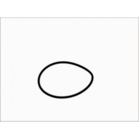 Rubber O-Rings