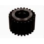 Pinion diferential Pinion diferential