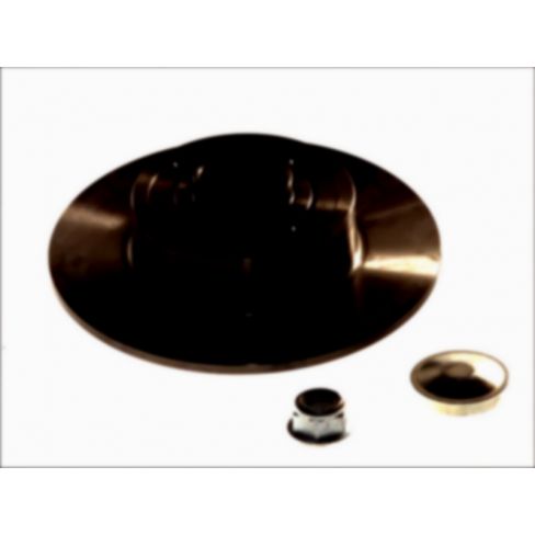 Brake disk with bearing