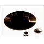 Brake disk with bearing