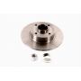 Brake disk with bearing