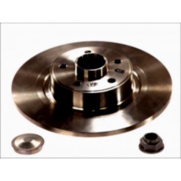Brake disk with bearing