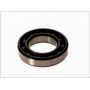 Standard ball bearing