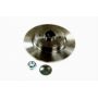 Brake disk with bearing
