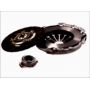 Clutch kit with bearing