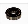 Standard ball bearing