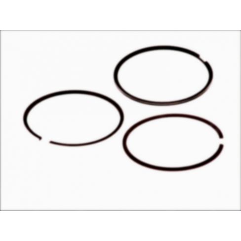 Segmenti piston