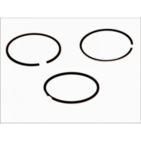 Segmenti piston