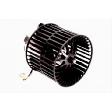 Ventilator