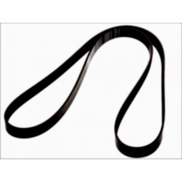 Curea transmisie canelata