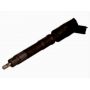 Injector electromagnetic CR