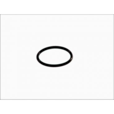 Garnitura pompa combustibil