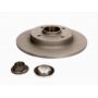 Brake disk with bearing