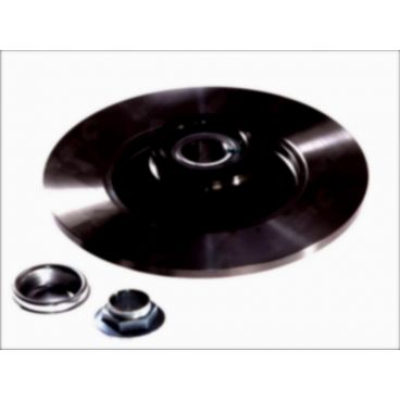 Brake disk with bearing