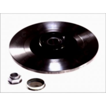 Brake disk with bearing