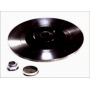 Brake disk with bearing