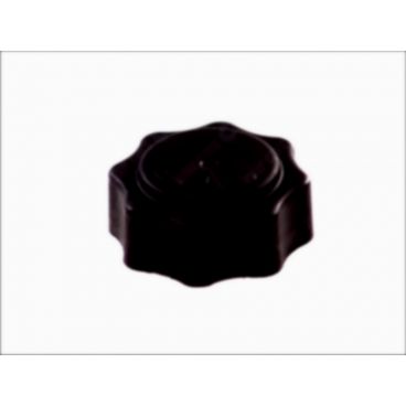 Capac vas expansiune