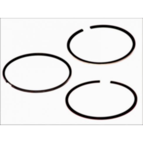 Segmenti piston
