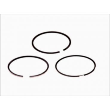 Segmenti piston
