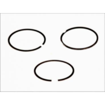 Segmenti piston