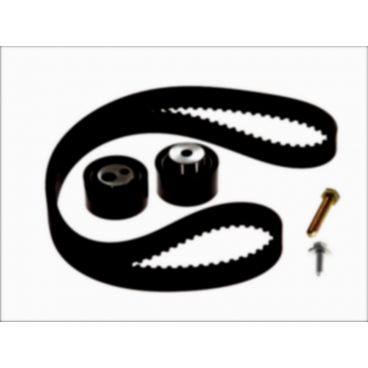 Kit distributie (curea+role)